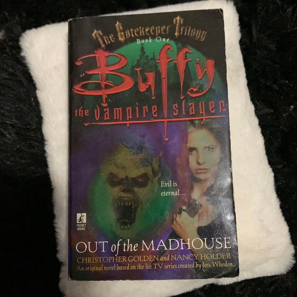 Buffy The Vampire Slayer Novel - Out of the Madhouse